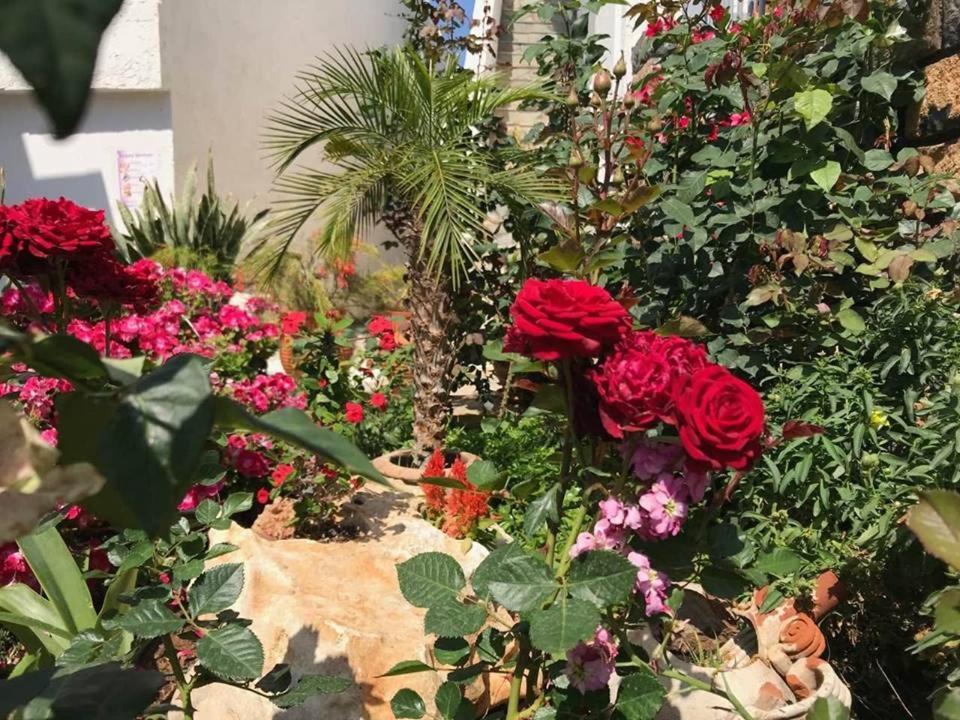Athina Residence Λέντας Εξωτερικό φωτογραφία
